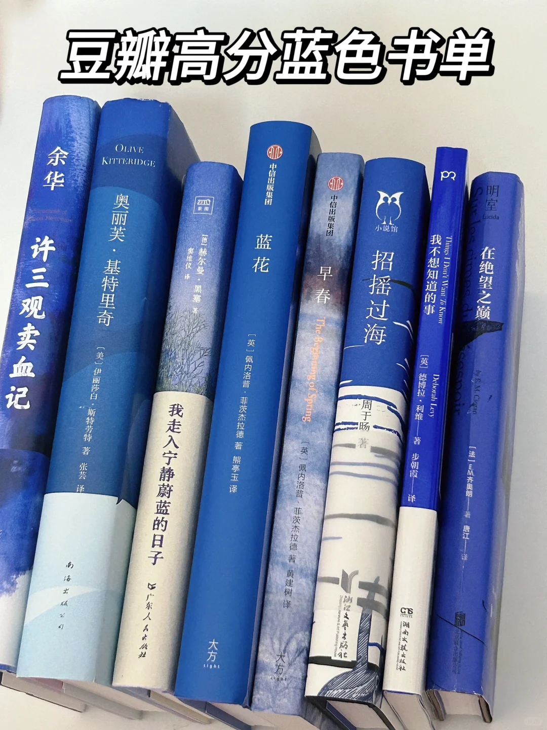 豆瓣高分蓝色书单｜在书里得到宁静的力量