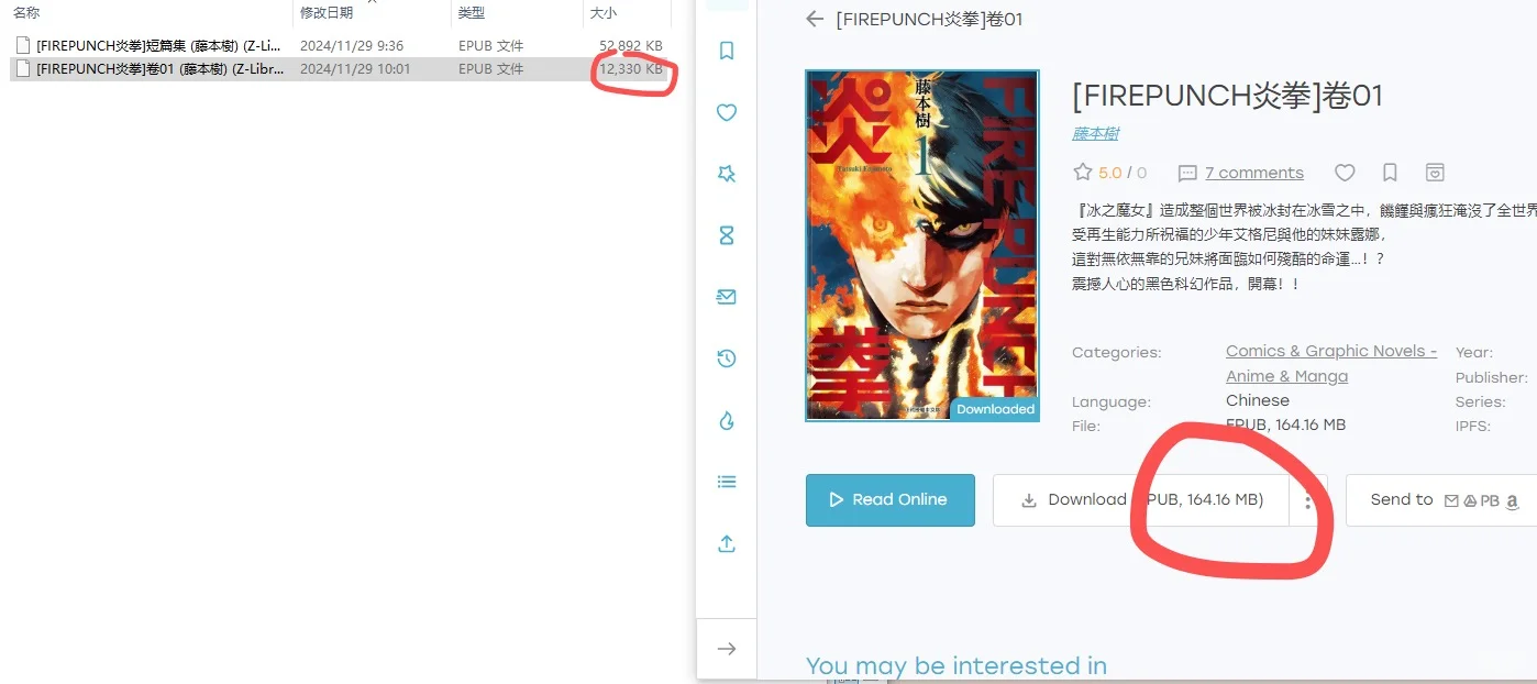 Zlibrary下载文件不全
