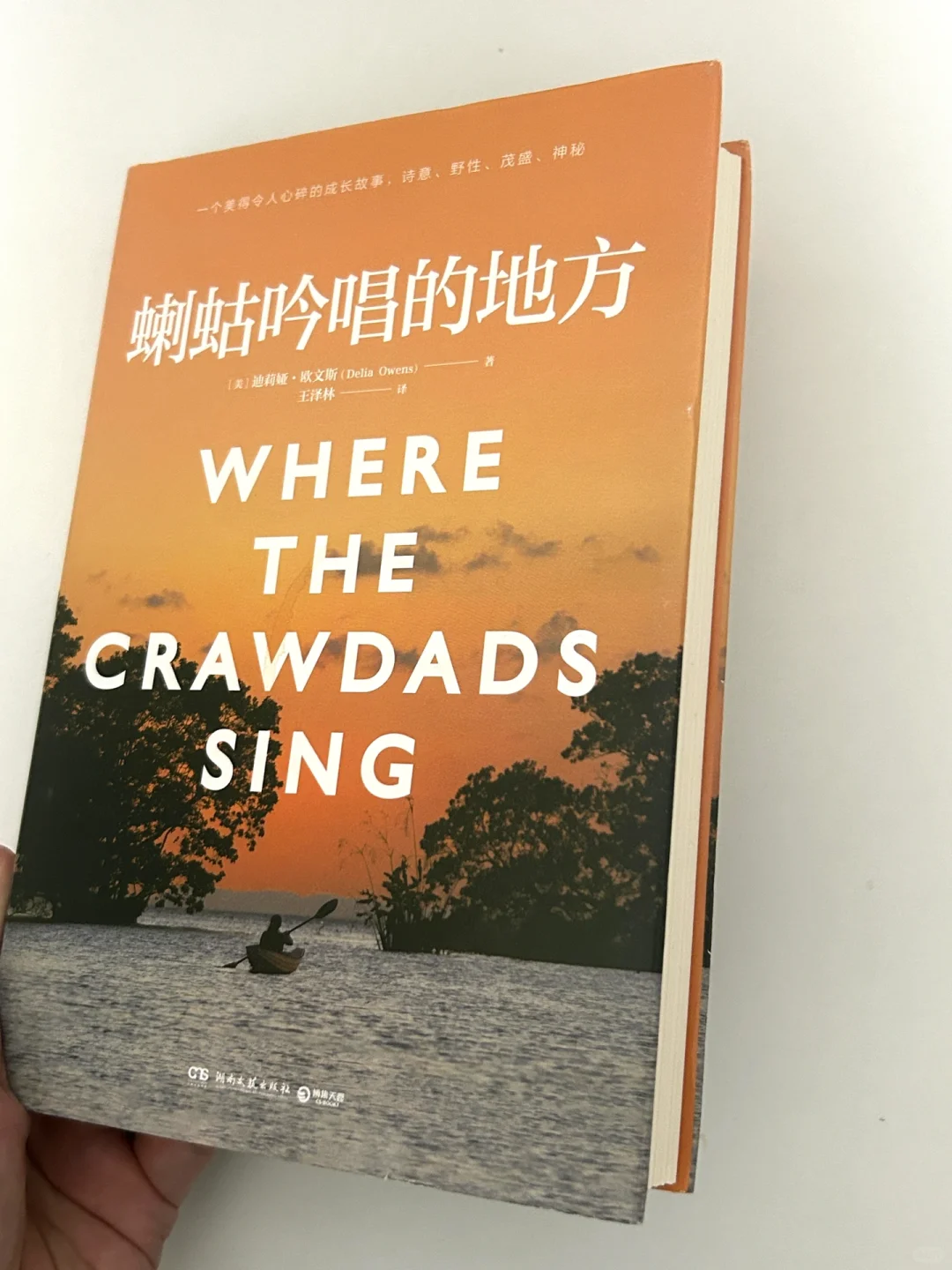 豆瓣高分小说书单｜在书里得到向上的力量❗️