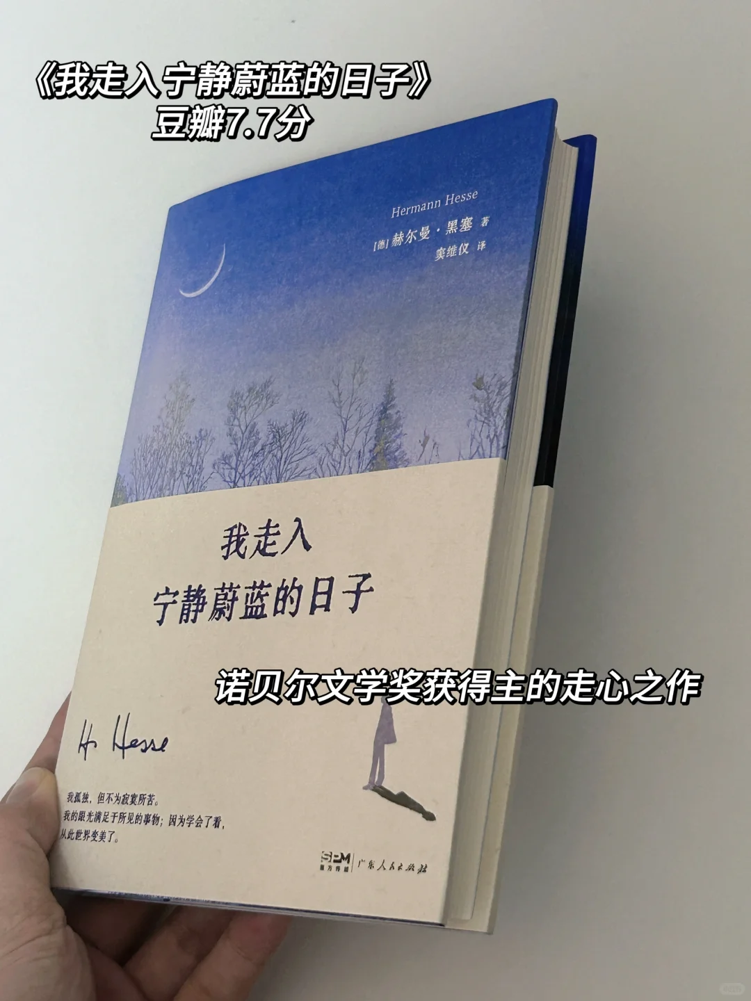 豆瓣高分蓝色书单｜在书里得到宁静的力量