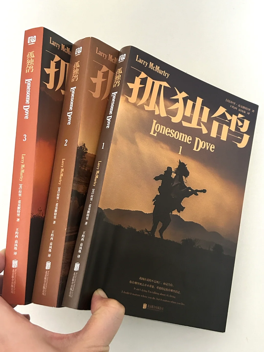 豆瓣高分小说书单｜在书里得到向上的力量❗️