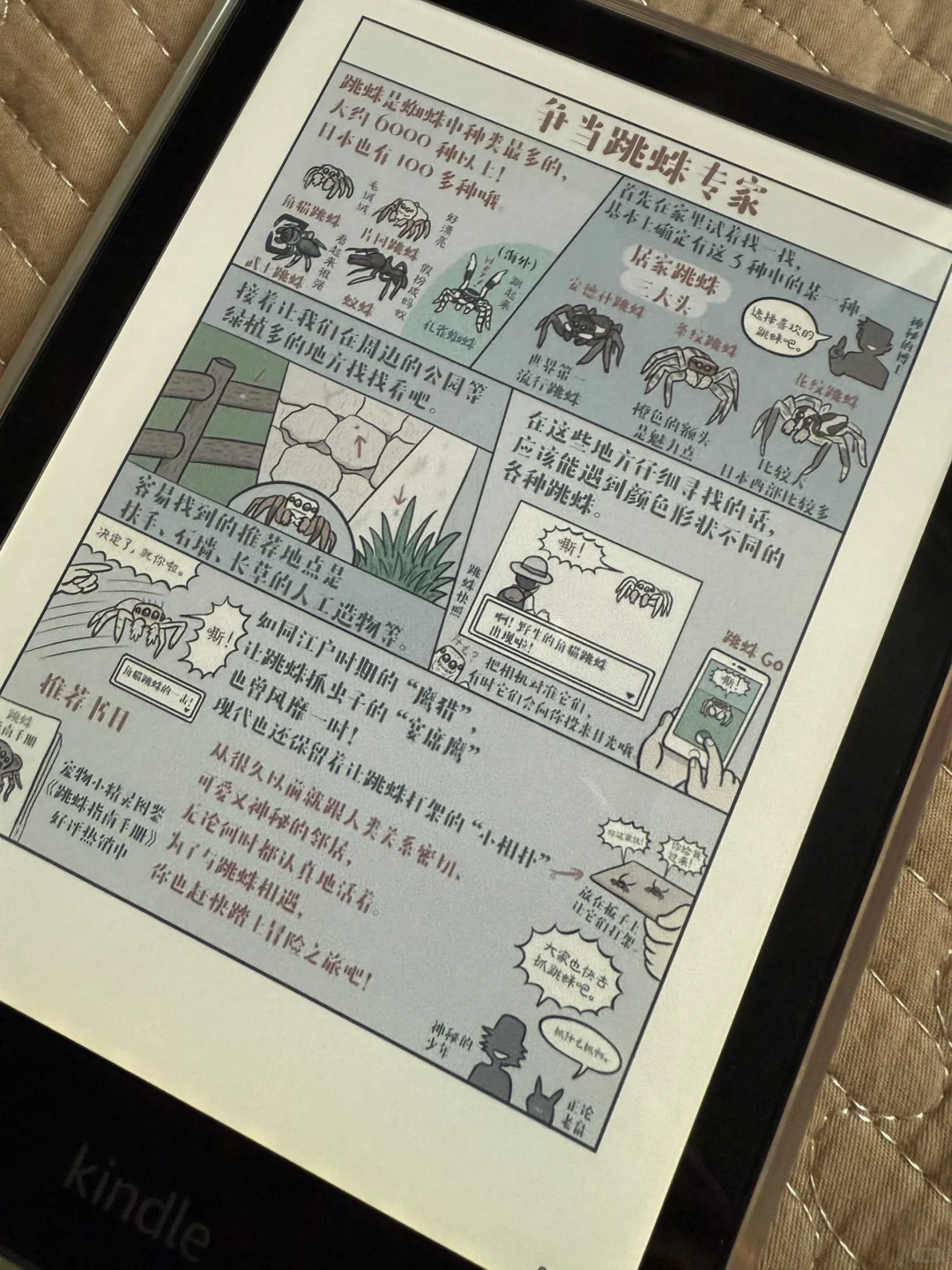 Kindle colorsoft照片展示