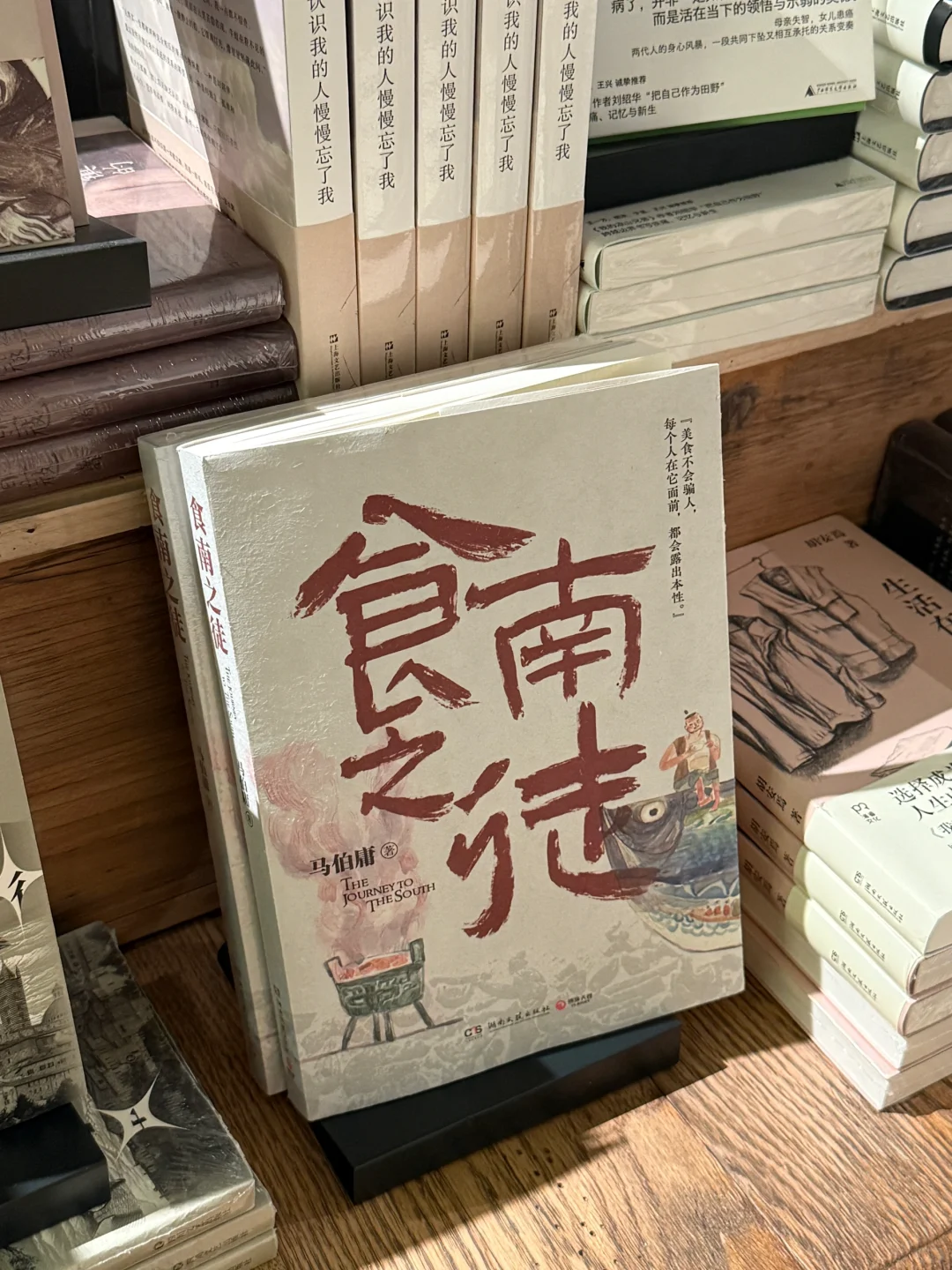 Kindle colorsoft照片展示
