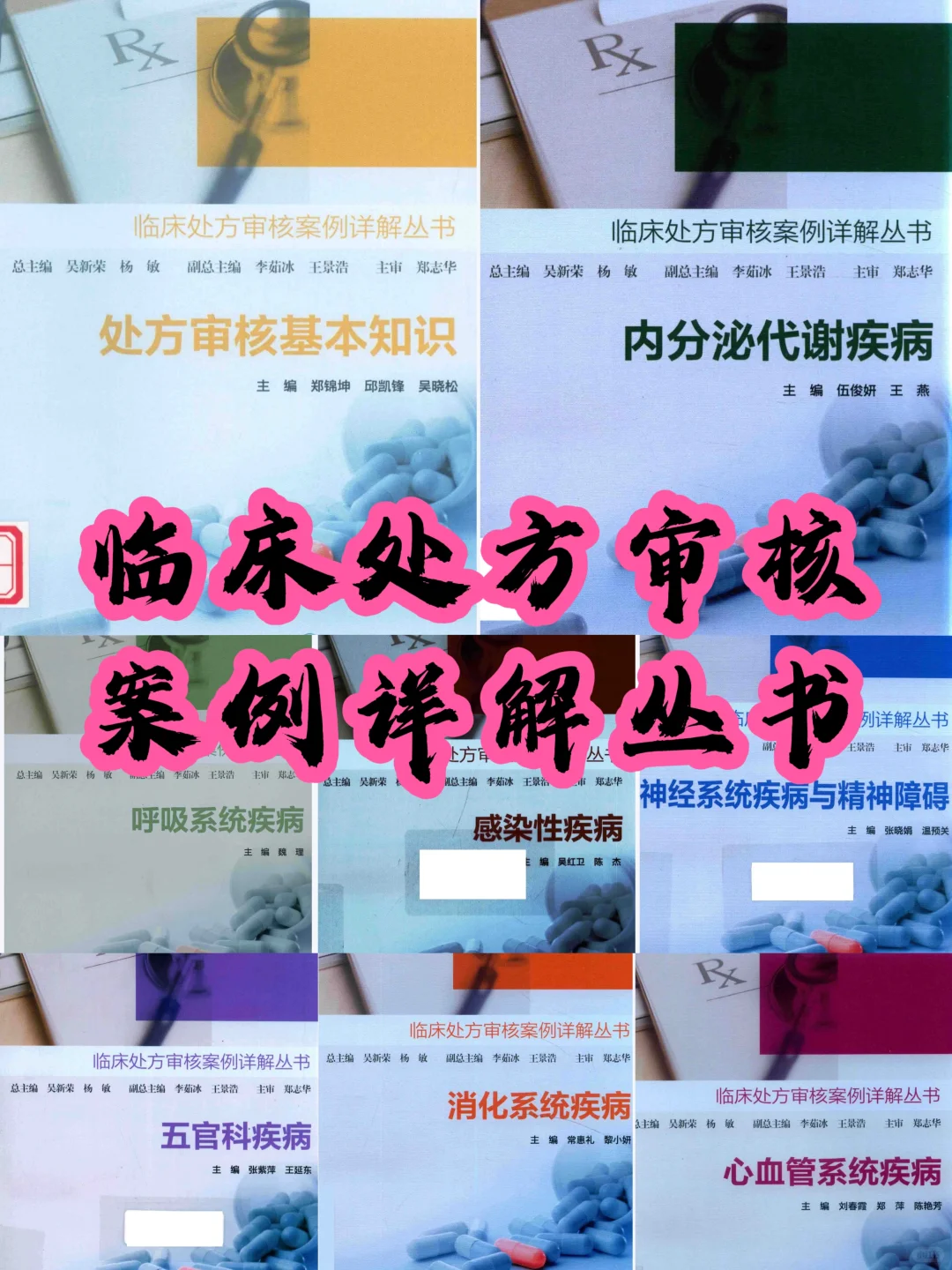 《临床处方审核案例详解丛书》合集pdf📚