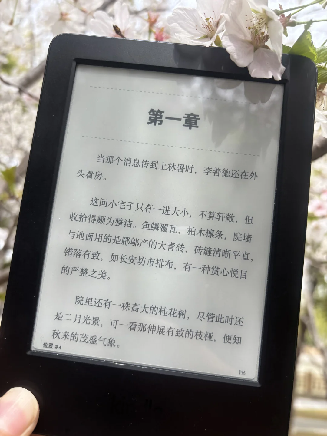 突然觉得kindle也挺好看的