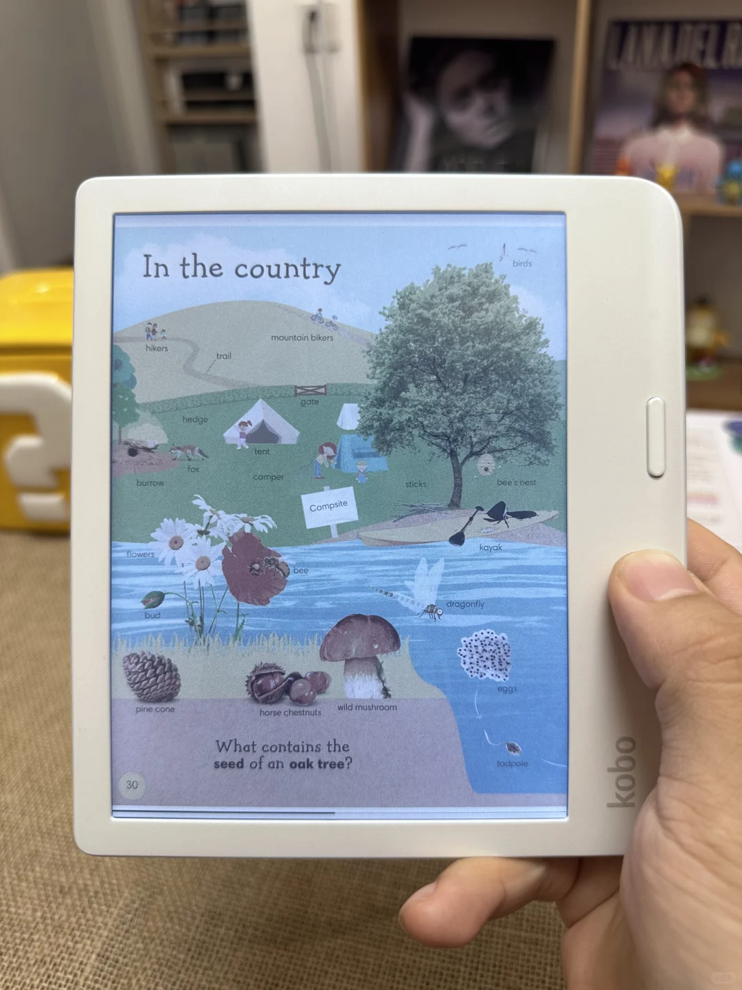 kobo libra colour阅读器真正的颜值担当