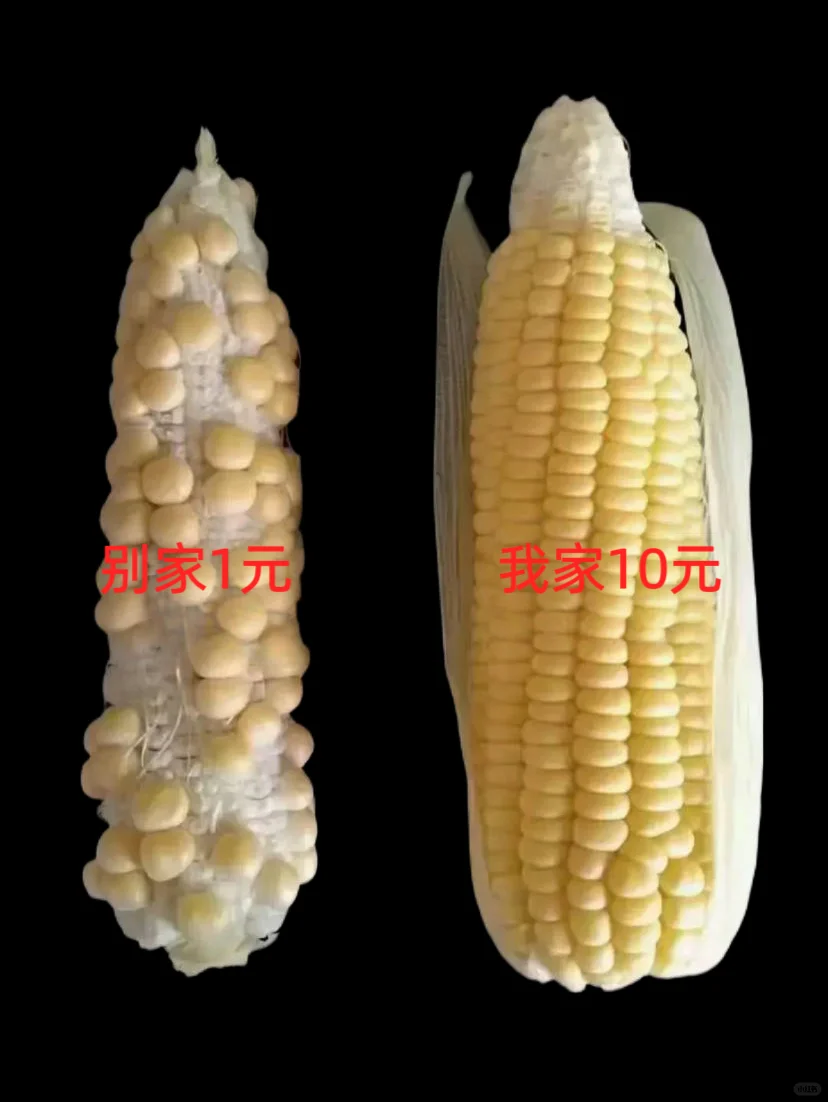 5月更新上野千鹤子！10💰实现电子书自由