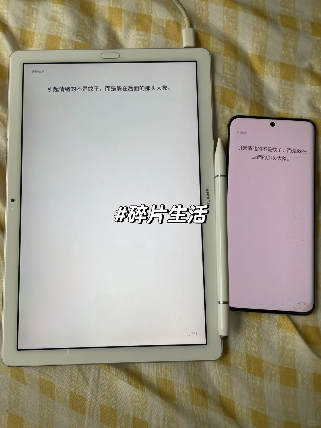 hhh电子书自由啦！真的太爽了🤩