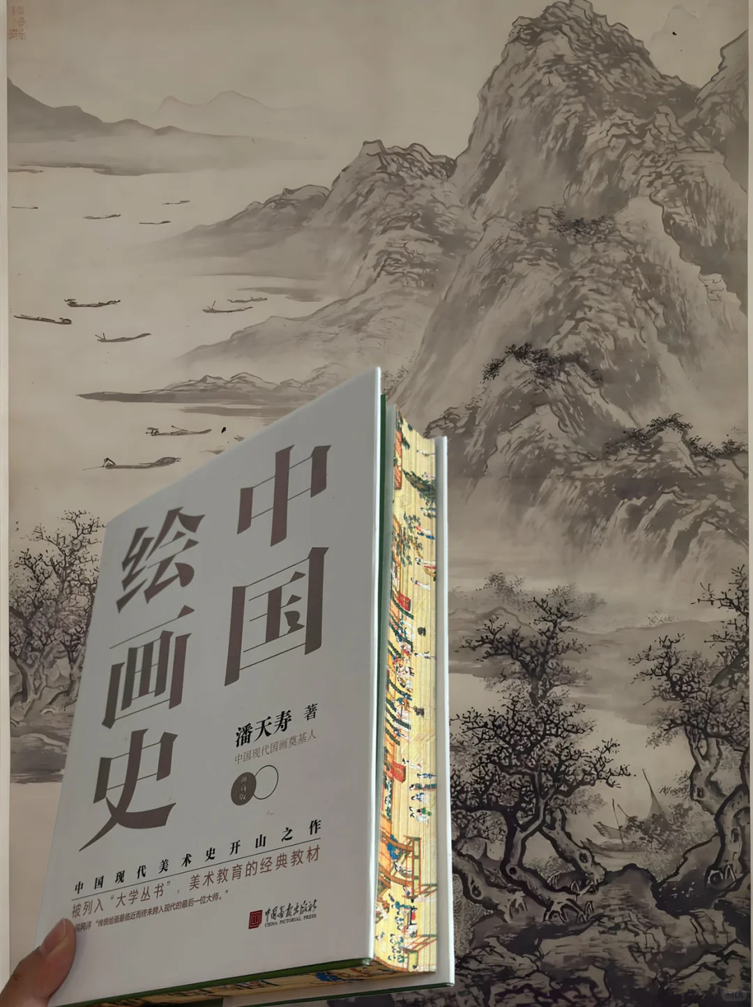 几乎全程震撼着读完的一本书