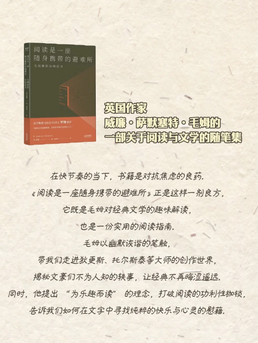 这波书单太绝了👍