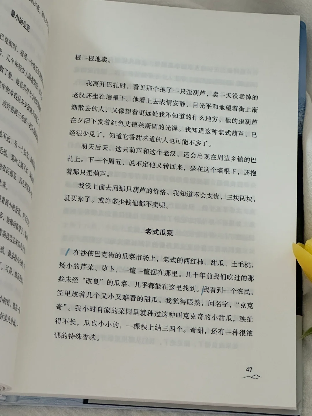 一眼沦陷！我真的太太爱这本书了💙！！
