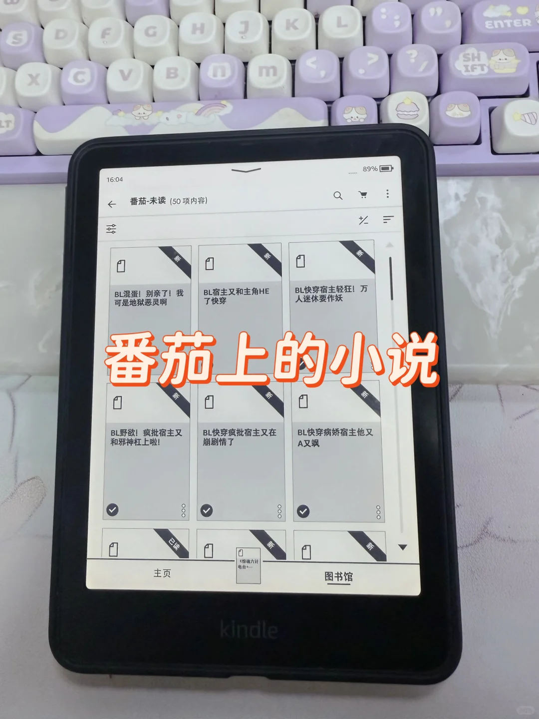 会自己找书的话用Kindle就特别香