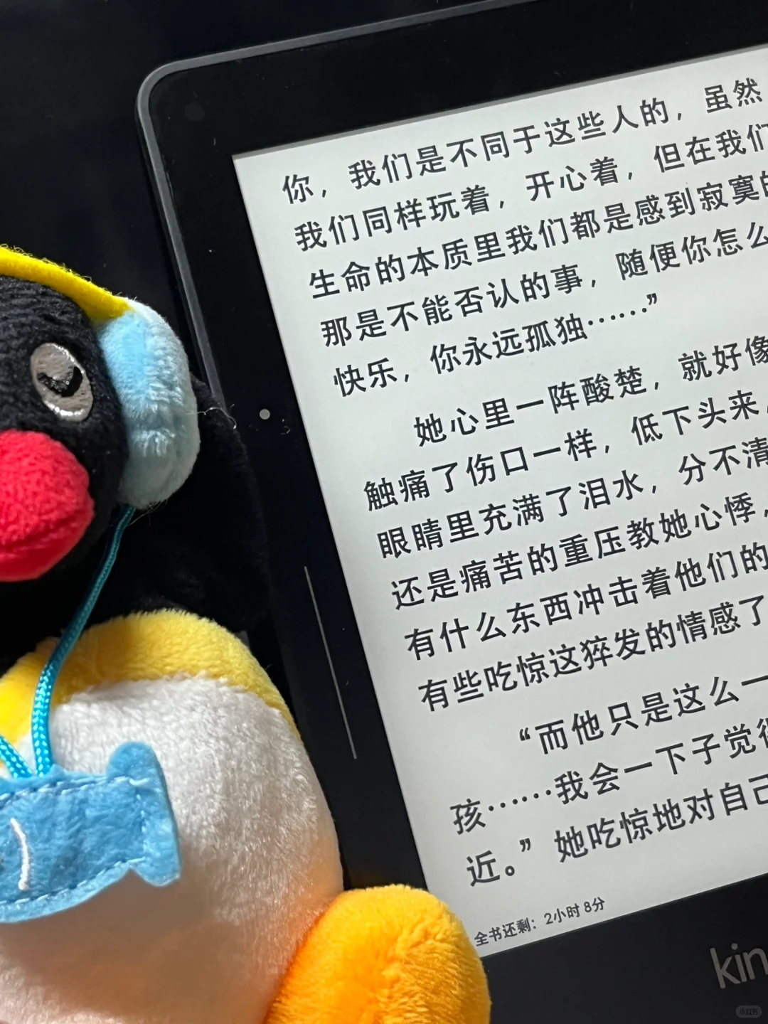 每种字体配kindle都合适