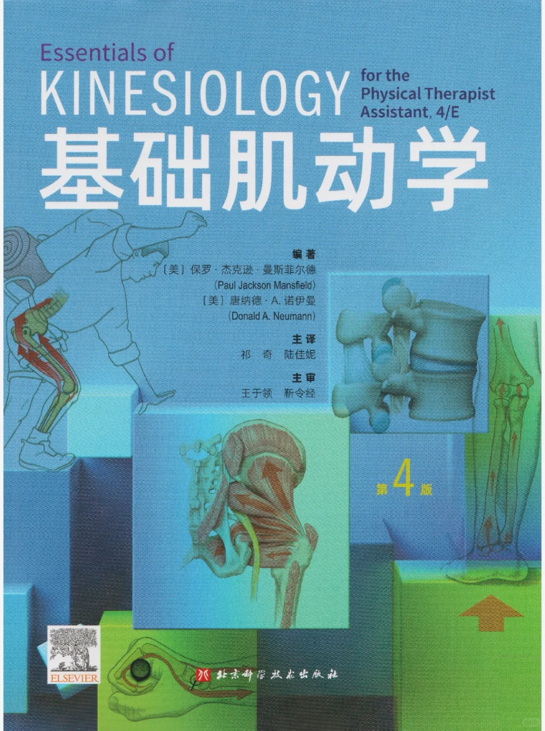 基础肌动学PDF 无偿分享