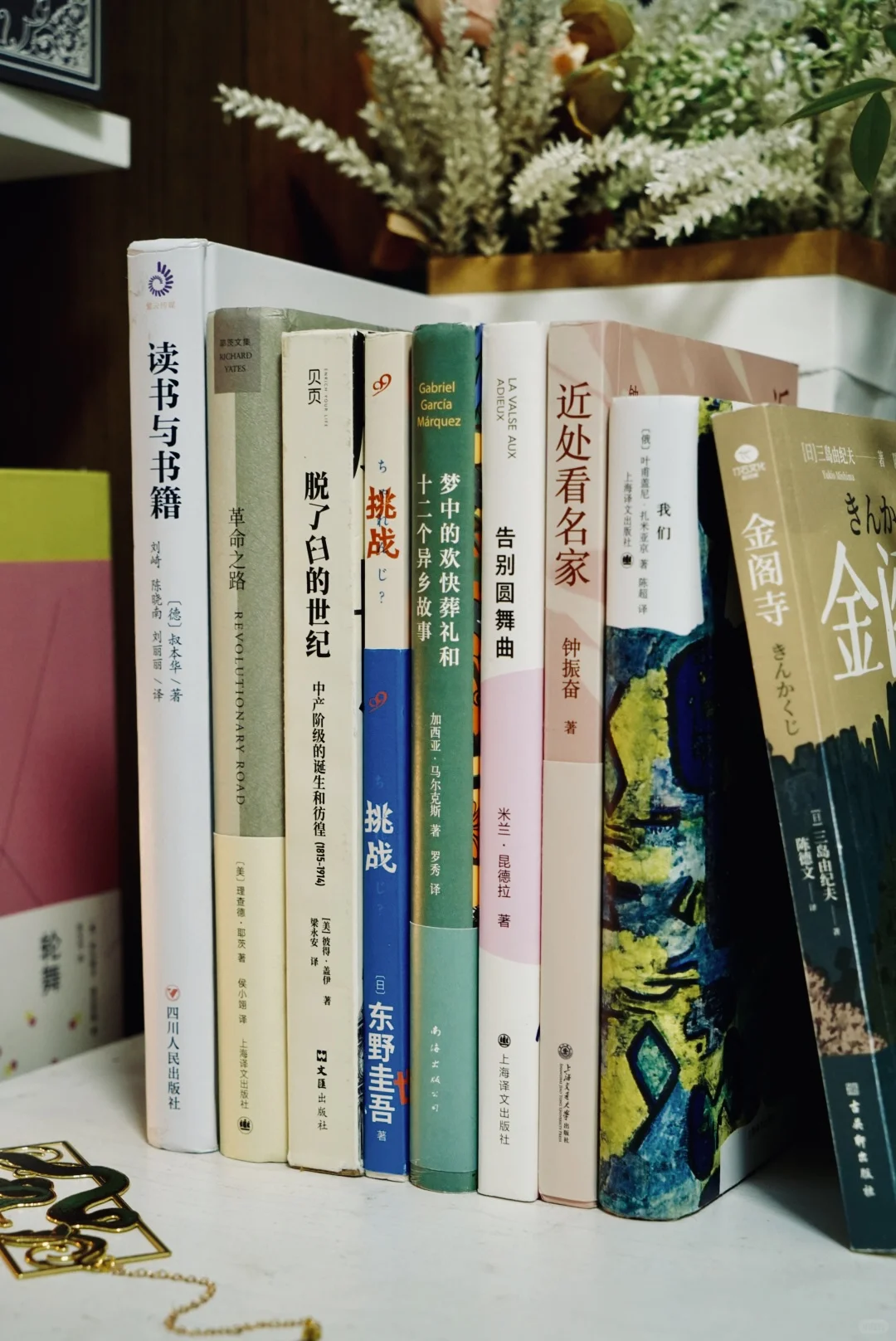 用一年时间砌起来的书墙，我现在强的可怕