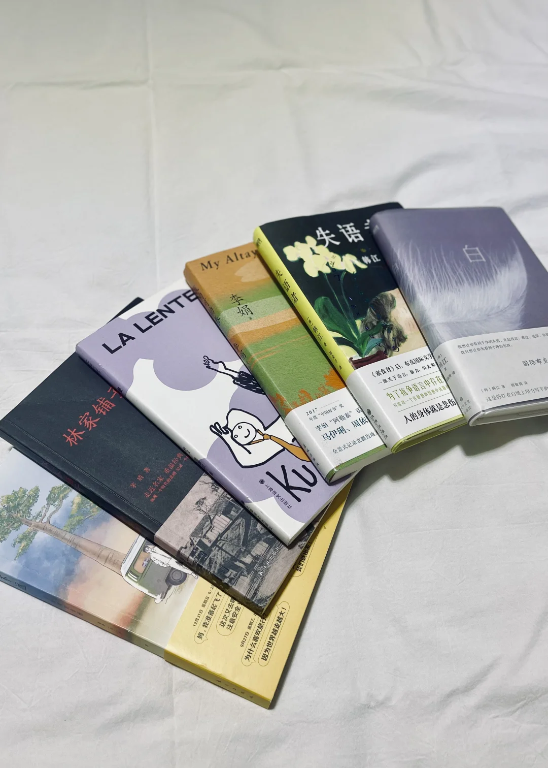 用一年时间砌起来的书墙，我现在强的可怕