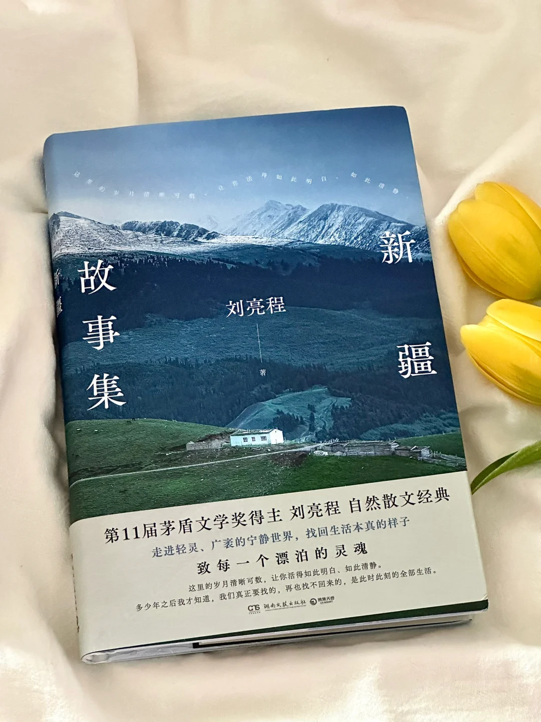 一眼沦陷！我真的太太爱这本书了💙！！