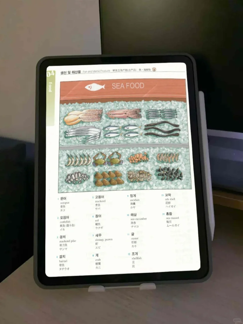 史上最全韩语电子书合集‼️零基础自学必备