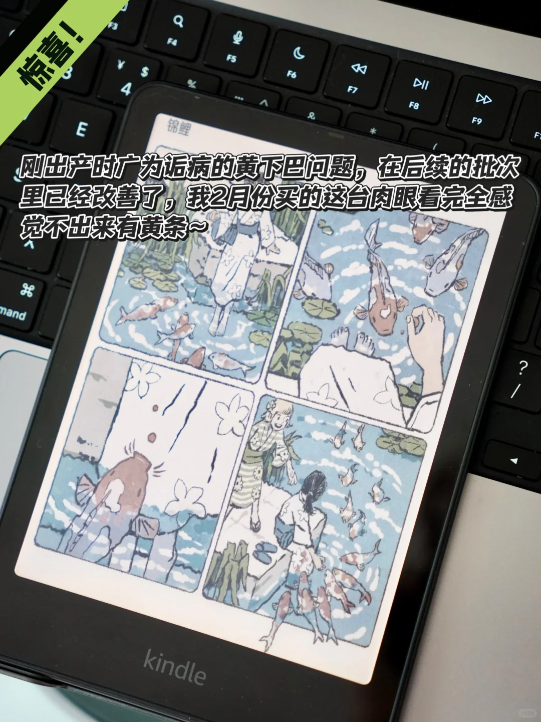 使用两个月✌🏻彩屏Kindle有什么优缺点❓