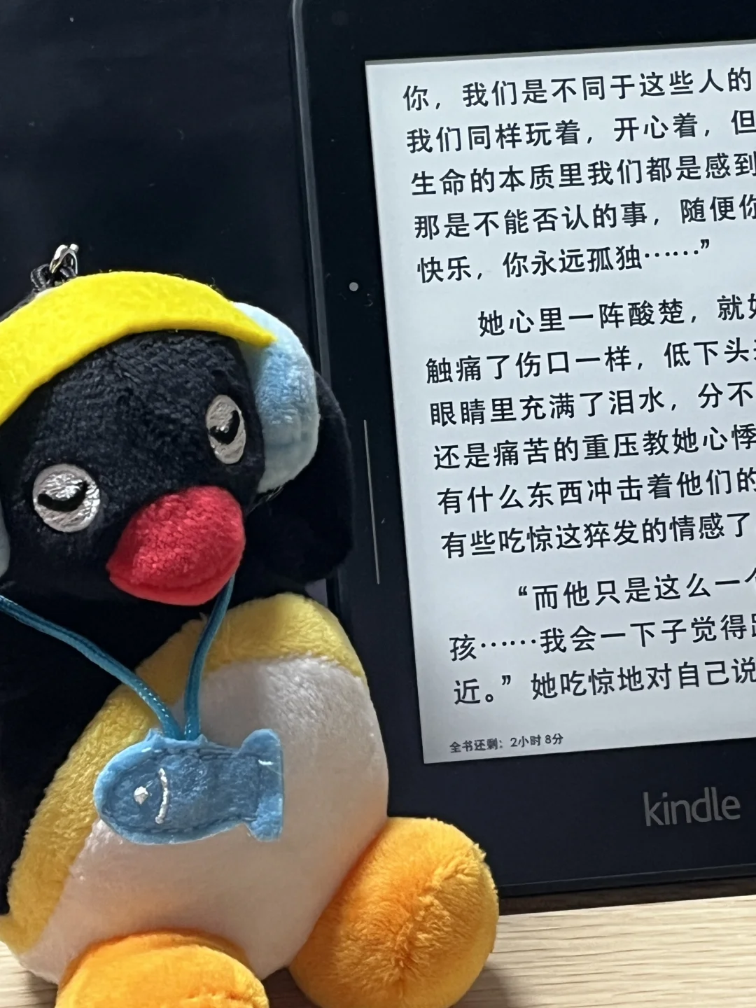 每种字体配kindle都合适