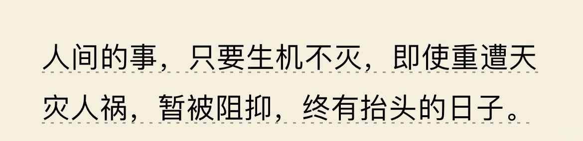 阅读•电子书《我从未如此眷恋人间》