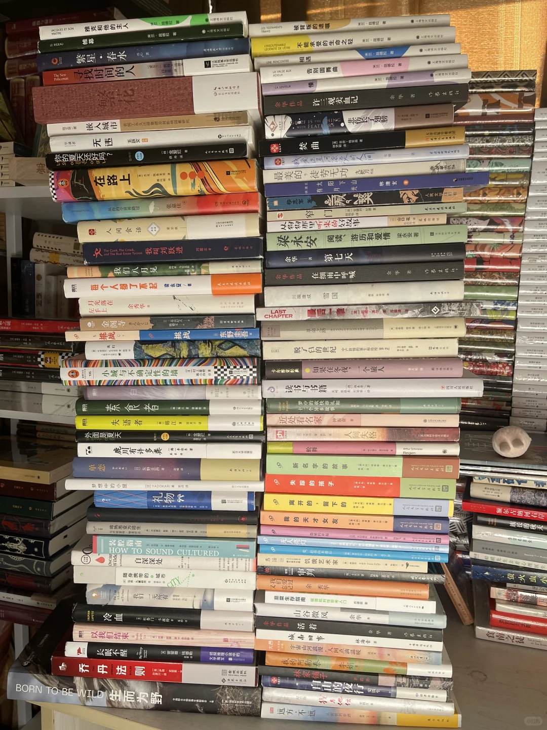 用一年时间砌起来的书墙，我现在强的可怕
