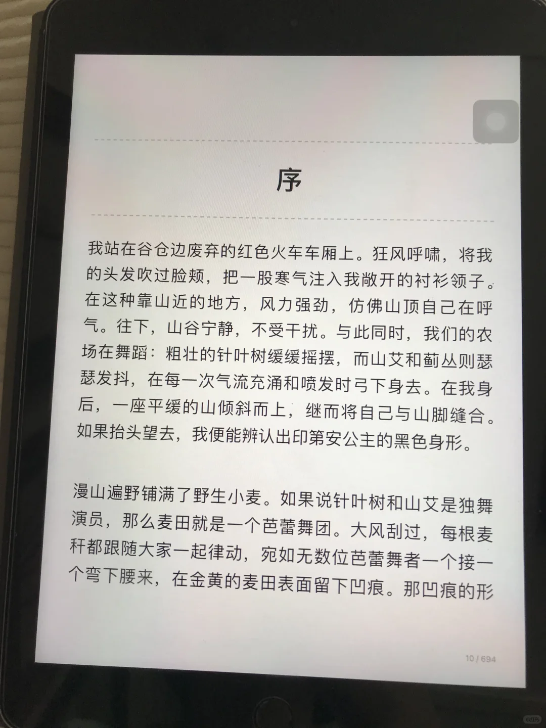 感谢🙏🏻小红书让我实现电子书自由！！！