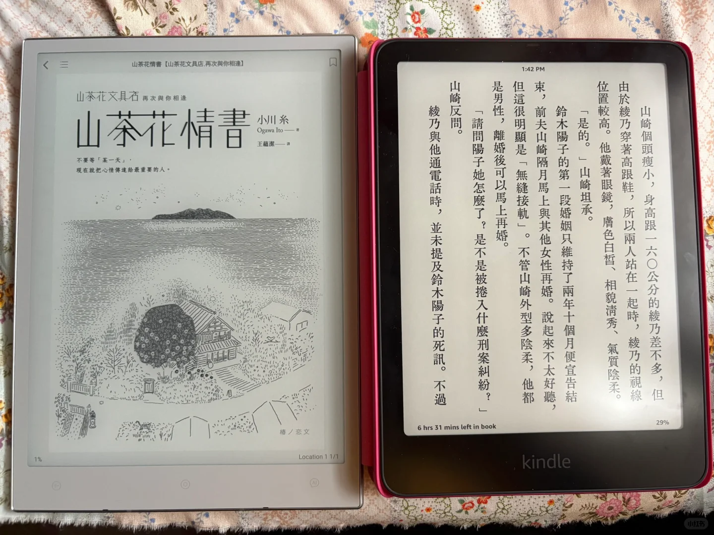 Kindle paperwhite vs viwoods mini 對比照