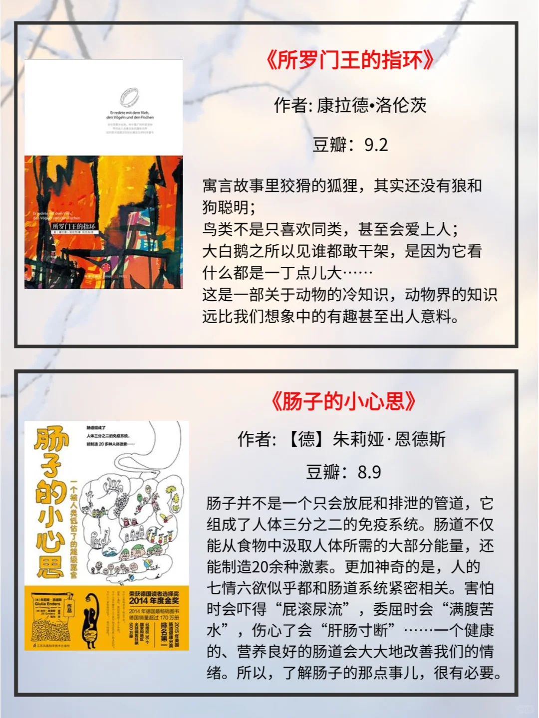 轻松有趣！看了就停不下来的8本书📚