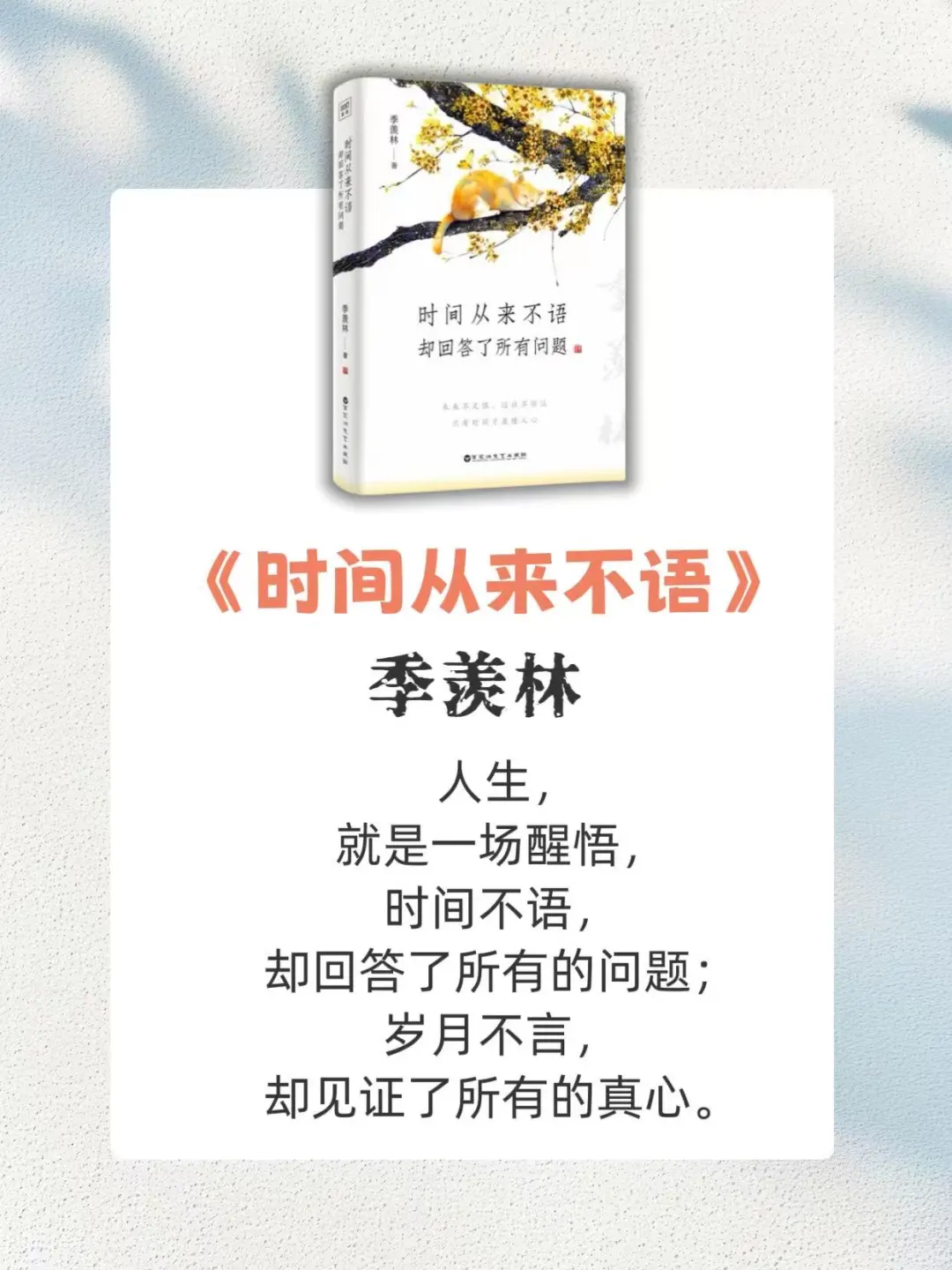 不愧是央视推荐！2025蕞值得看的6本书🔥
