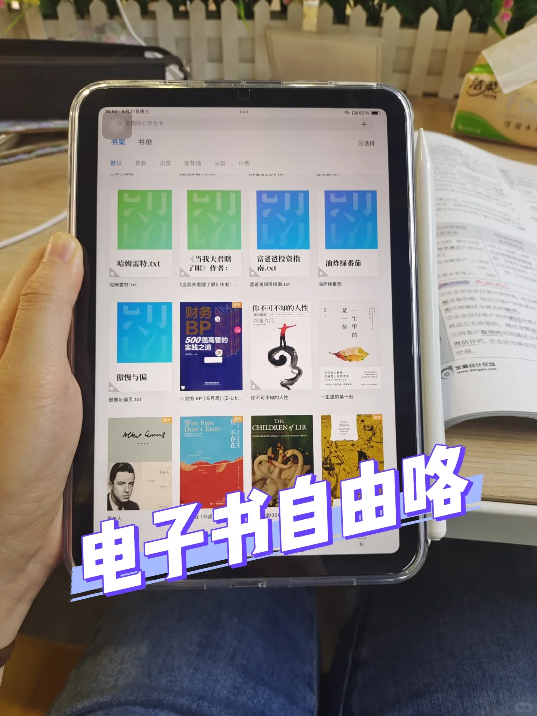 把我的ipad盘活了！实现电子书自由咯！