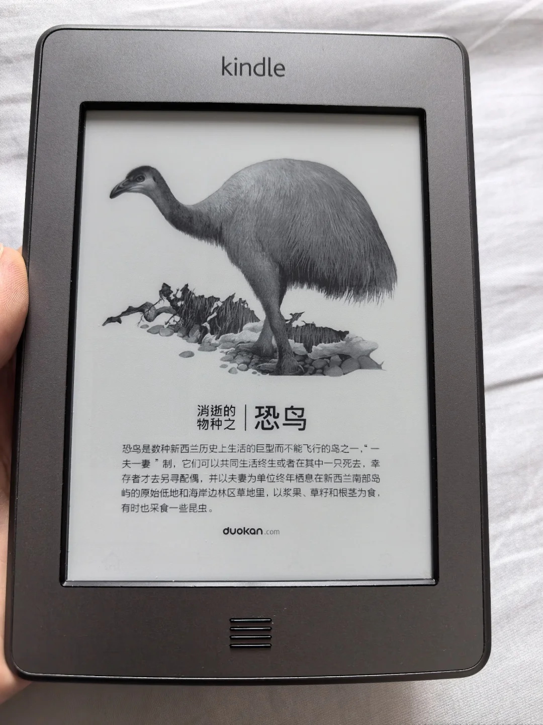 出完美屏Kindle kt有意的带价来