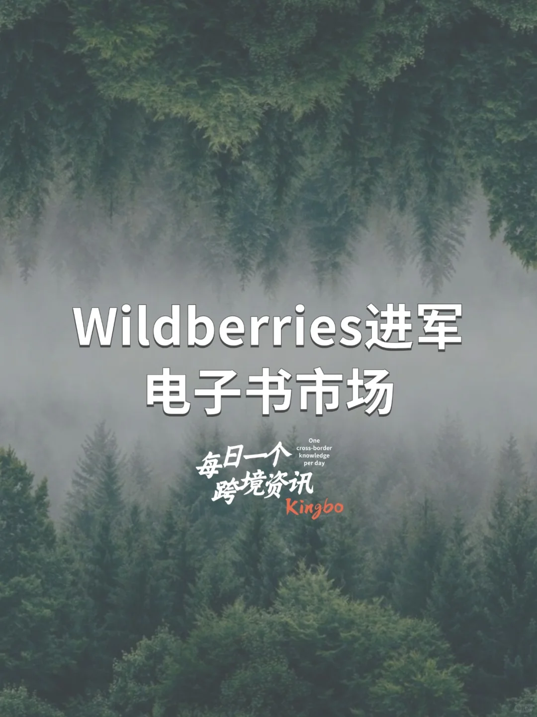 Wildberries进军电子书市场