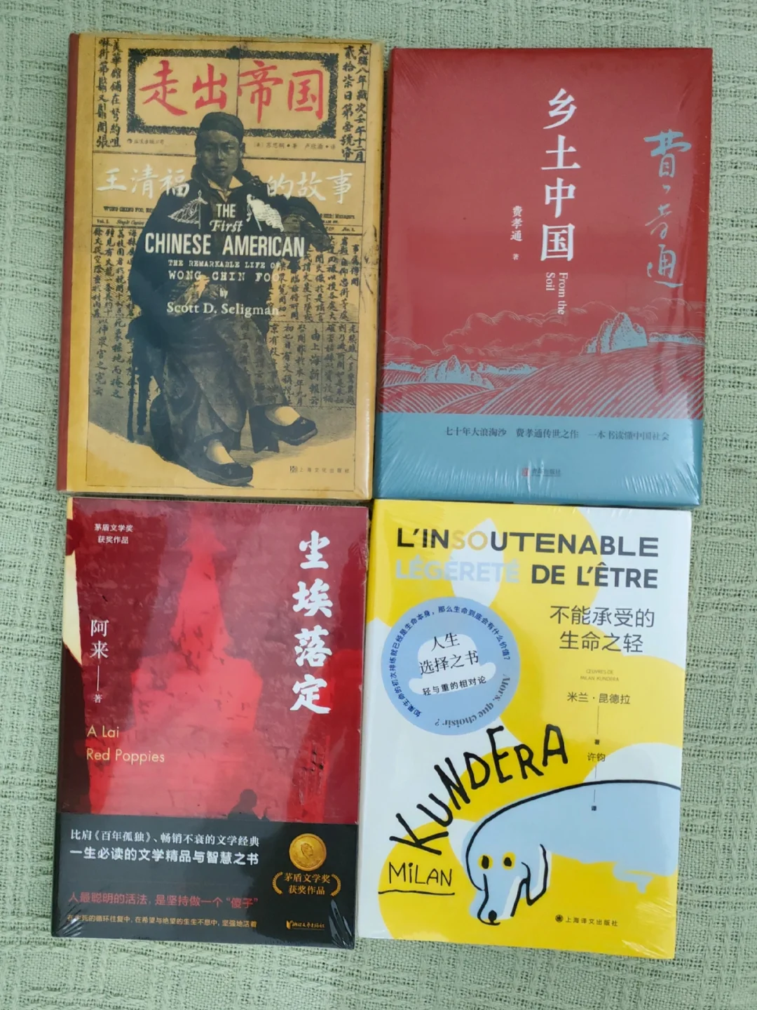 书单上新～🤣