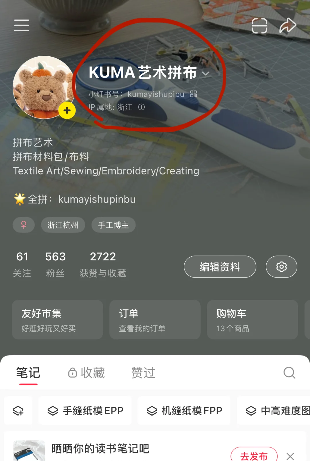 电子书｜Tula Pink的100个现代拼布模块设计
