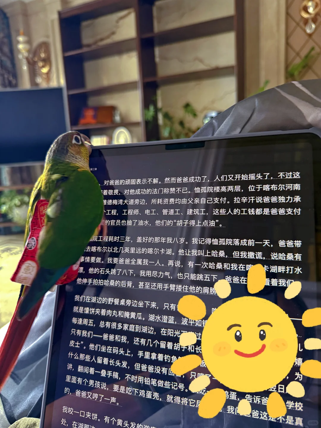 就说不能看电子书