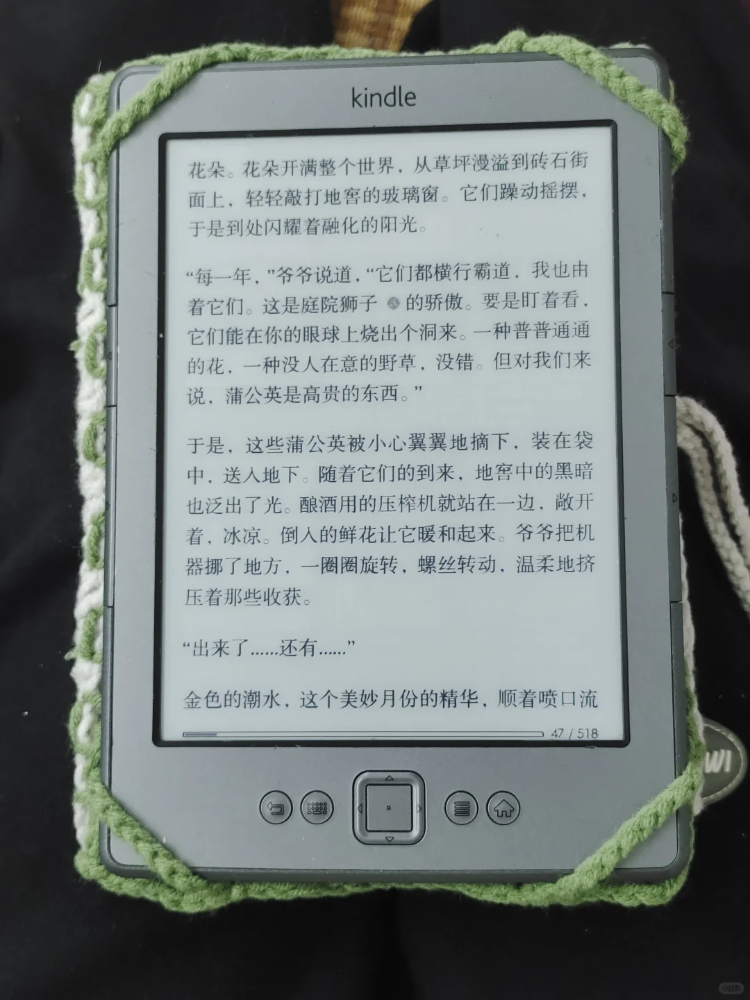 怒钩一个kindle套