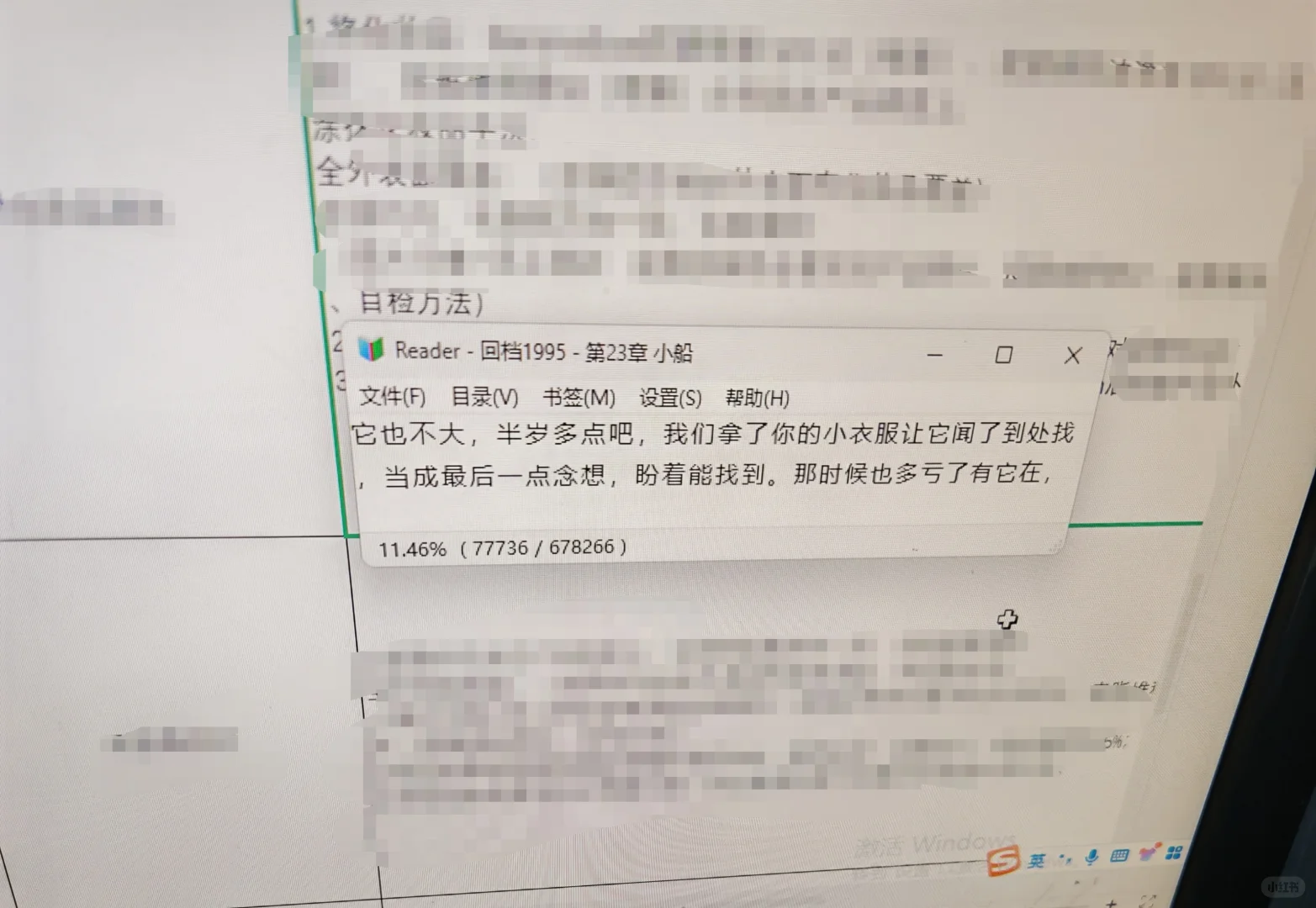 超好用的电脑免费阅读（摸鱼）软件