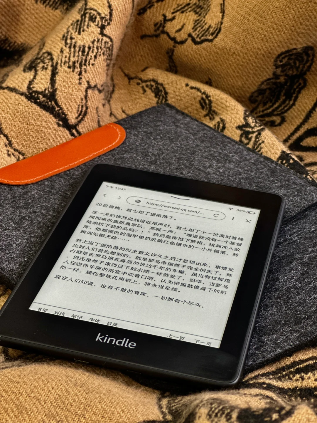 我的Kindle 永不落灰.
