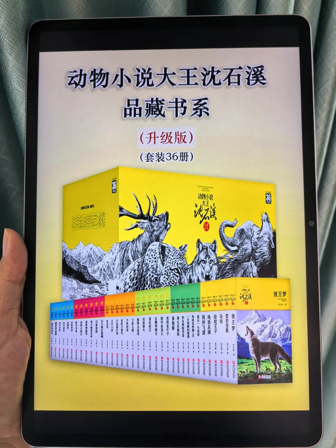 都5202年了，是谁还没实现电子书自由啊啊！