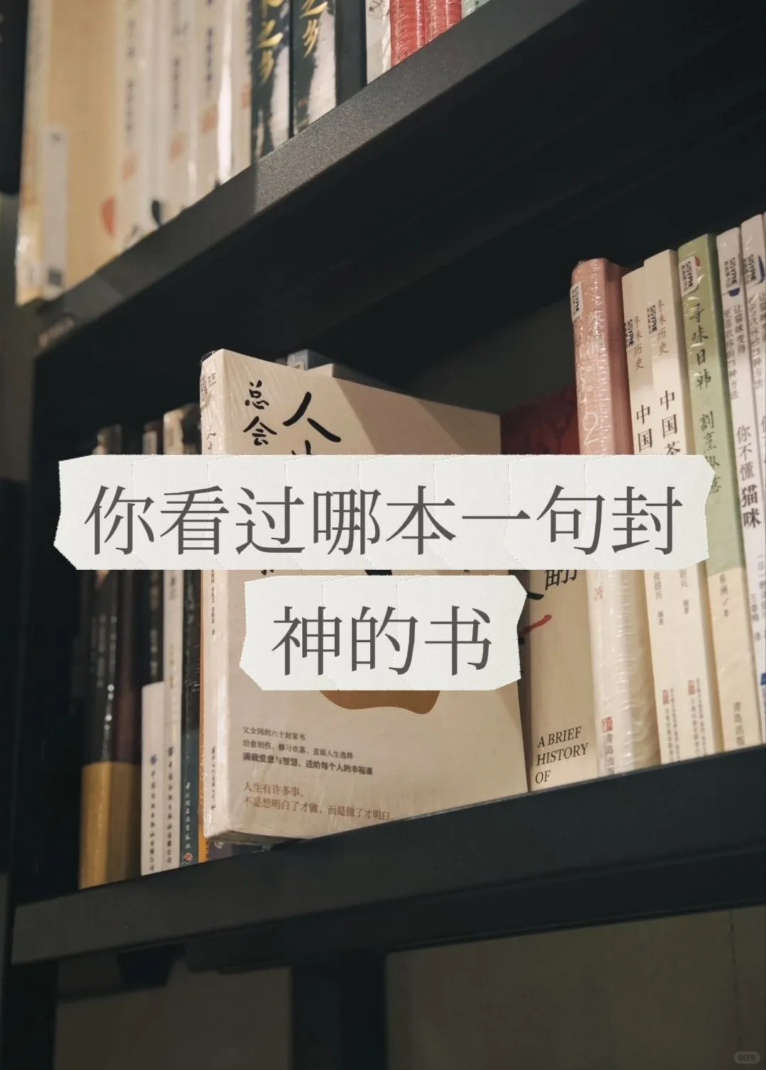 仅靠一句话就封神的小说