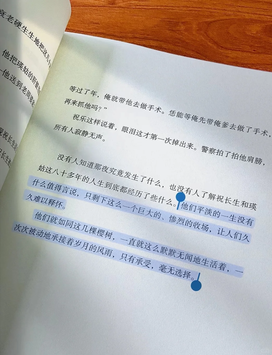 生而为人｜无需抱歉，我们终归要活成自己