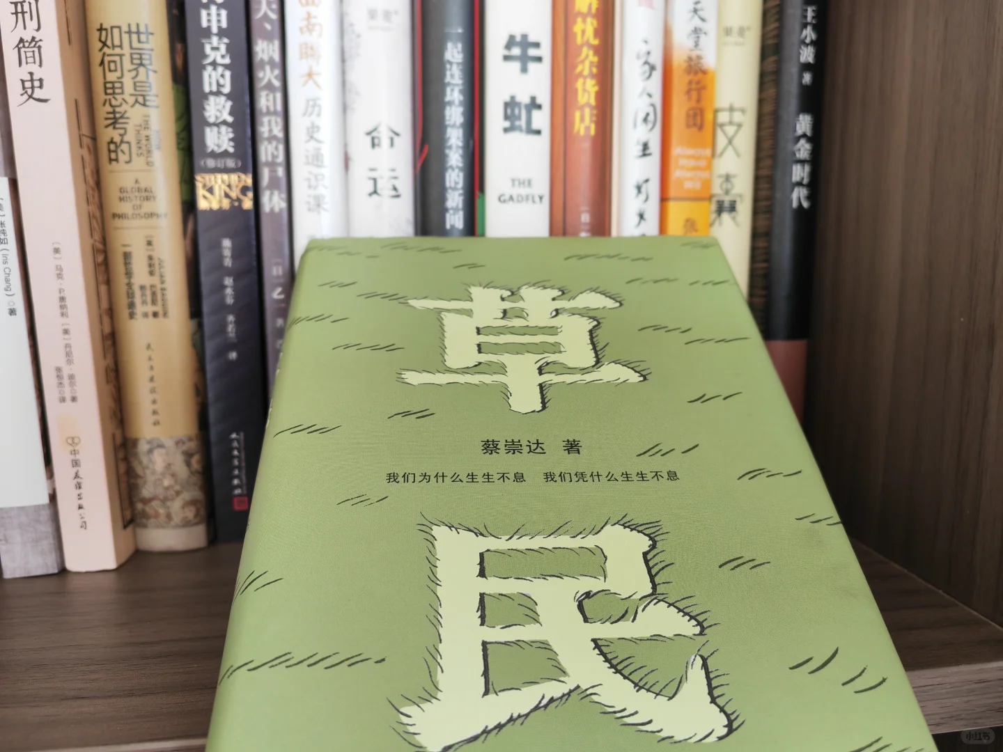 哪个作者是你心中的🔝