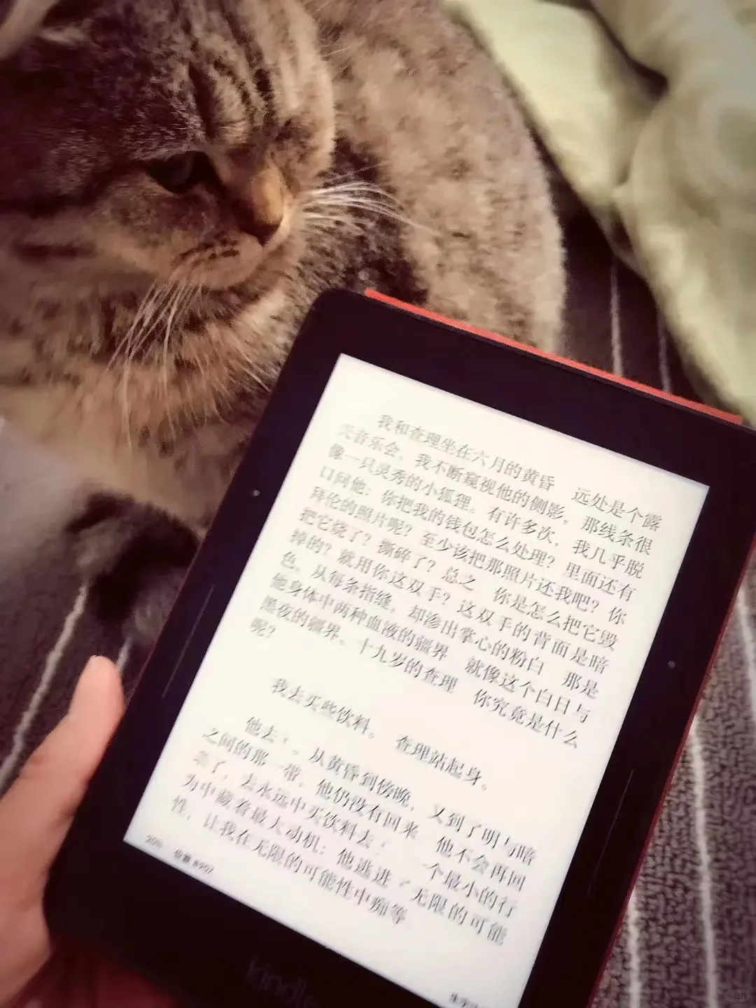 谢谢你，Kindle