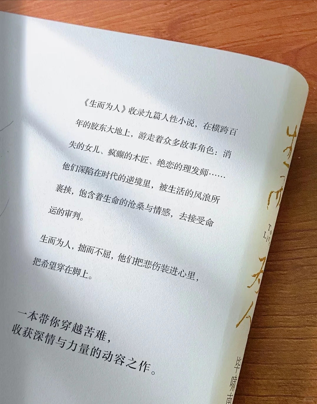 生而为人｜无需抱歉，我们终归要活成自己