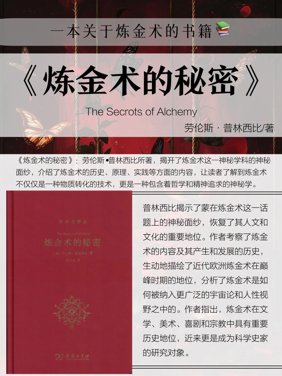 INFJ｜神秘学入门推荐书单！码住再看！