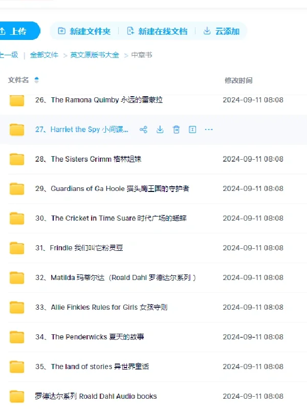 英文原版桥梁初章中章高章书PDF音频大全！