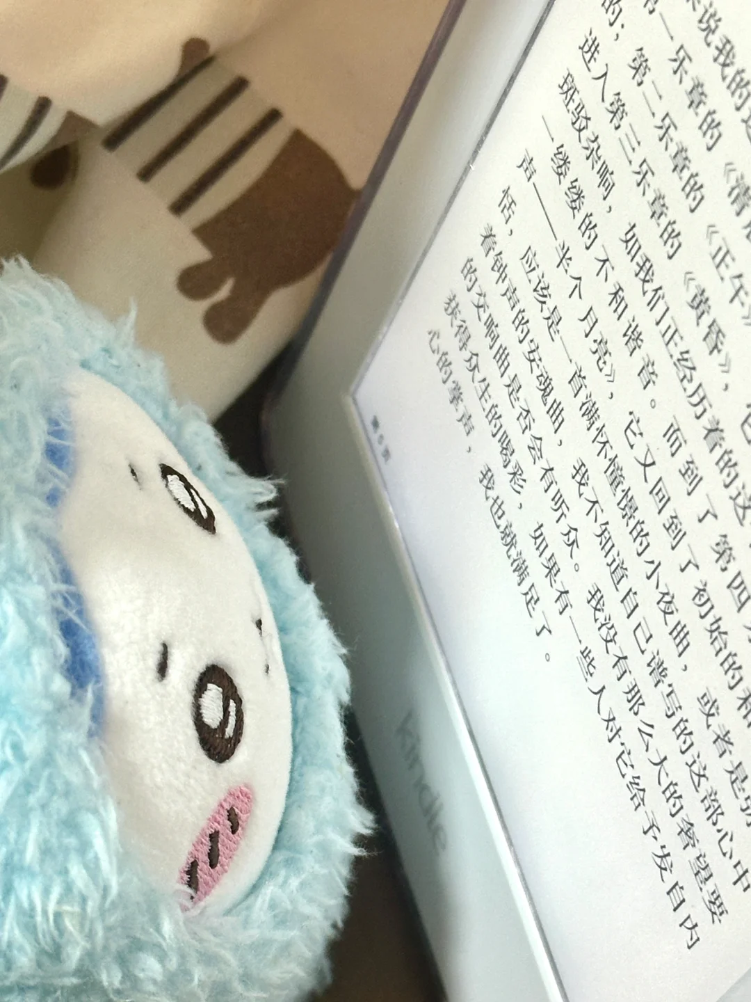 收到kindle啦 没被骗