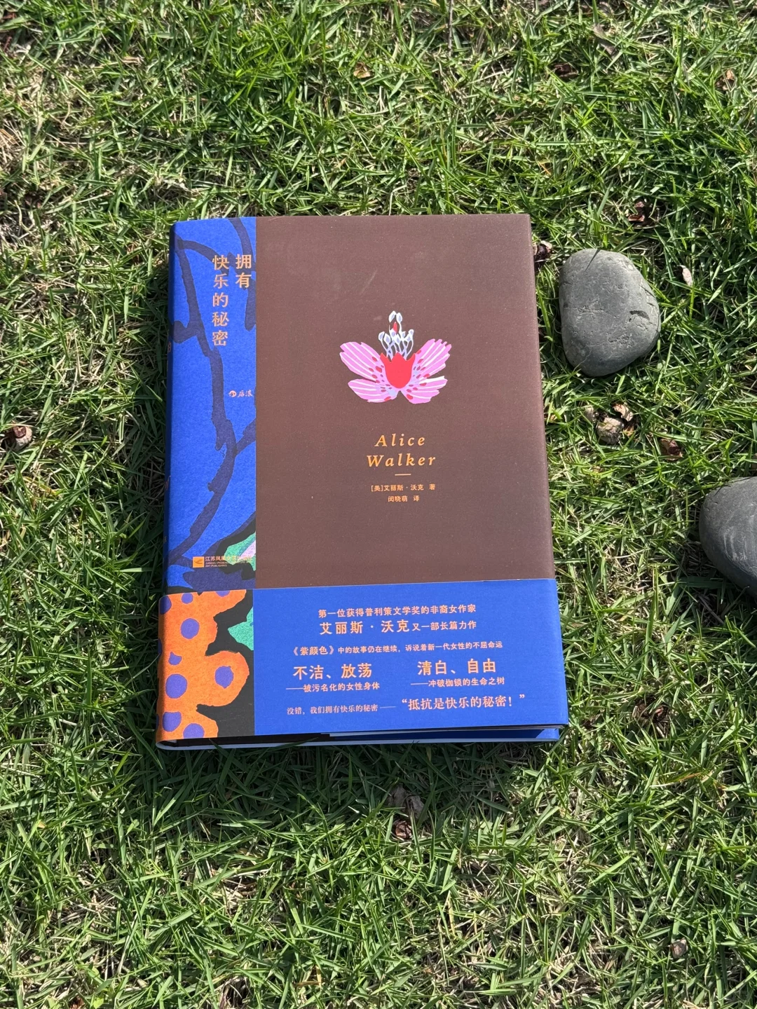 书单｜5月读书清单，有你爱看的吗？
