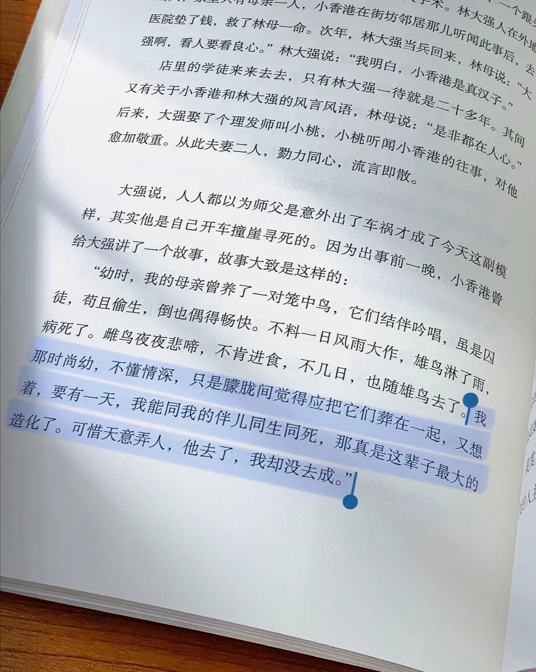 生而为人｜无需抱歉，我们终归要活成自己